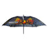 Innova Square Disc Golf Umbrella