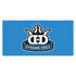 Dynamic Discs Accessory Dynamic Discs Elevation 4' x 2' Fabric Banner